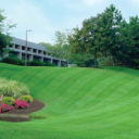 Landscaping services that cover commercial demands
