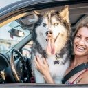 Safe ways to transport your dog in your vehicle